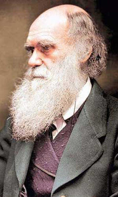 charlesdarwin-1329738