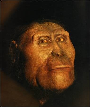 lucien_elizabeth20daynes_reconstruction-1884715