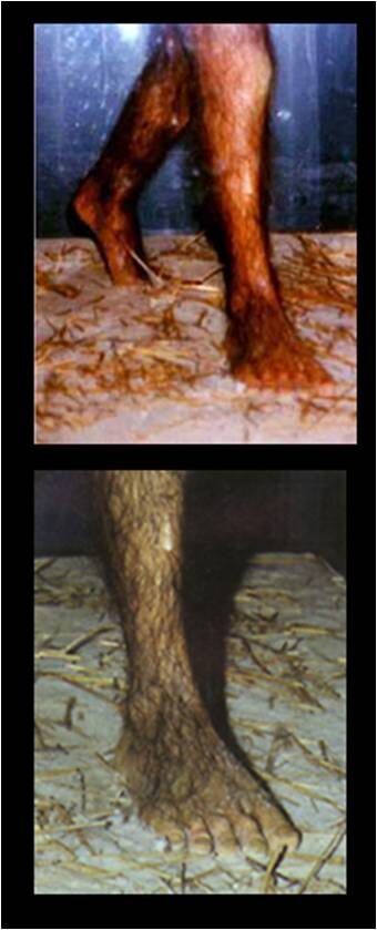 lucy_science_evolution_charles20darwin_darwinian20evolution_fossils_atheism_athiest_creation_intelligent20design20-1124422