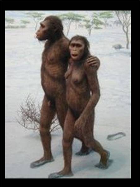 lucy_science_evolution_charles20darwin_darwinian20evolution_fossils_atheism_athiest_creation_intelligent20design20-9988193