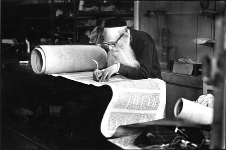 scribe-6427877