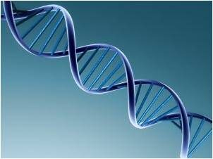 dna2c20intelligent20design2c20steven20meyer2c20signature20in20the20cell2c20true20freethinker-8735935