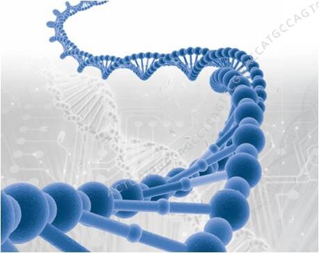 dna2c20intelligent20design2c20steven20meyer2c20signature20in20the20cell2c20true20freethinker2c-jpg-2147083