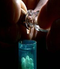 homeopathy-6476605