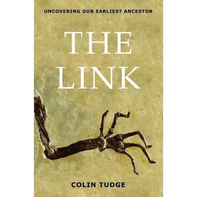 atheismandthelinkanduncoveringourearliestancestorandmissinglinkandidaanddarwinandevolution-4385856