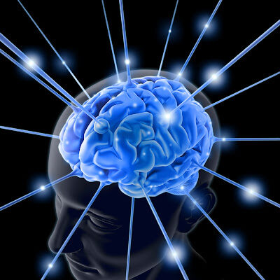 atheismandbrainandneuroscience-6110125