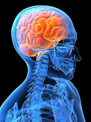 atheismandbrainandneuroscience-8987748