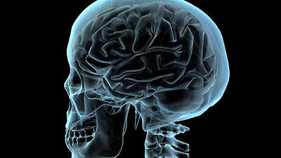 samharristheneuralcorrelatesofreligiousandnonreligiousbeliefisastudyrecentlyconductedbrainatheismneuroscience-6911415