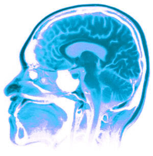 samharristheneuralcorrelatesofreligiousandnonreligiousbeliefisastudyrecentlyconductedbrainatheismneuroscience-5231767
