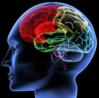 scanning-of-a-human-brain-by-x-rays