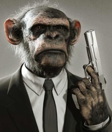ethics2c20morality2c20monkey20with20gun-1084155
