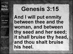 christian20identity20seedline-7059224