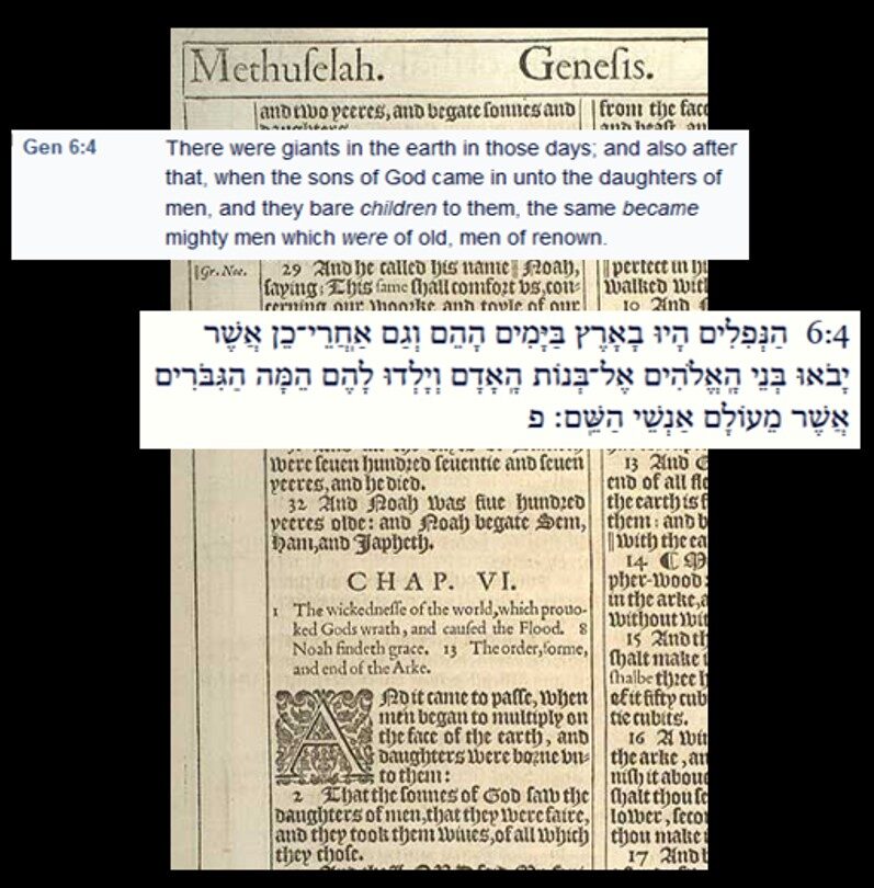 genesis206-4837292