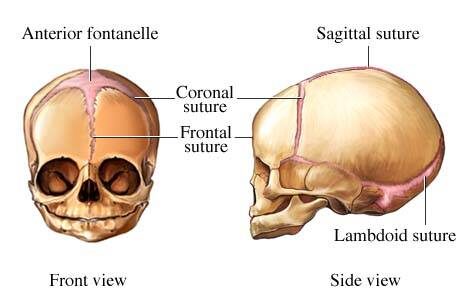 122c20ufos2c20aliens2c20demons2c20secret20government20experiments2c20whitley20strieber2c20barbara20marciniak2c20aleister20crowley_0-7944008