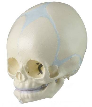 142c20ufos2c20aliens2c20demons2c20secret20government20experiments2c20whitley20strieber2c20barbara20marciniak2c20aleister20crowley-3054967