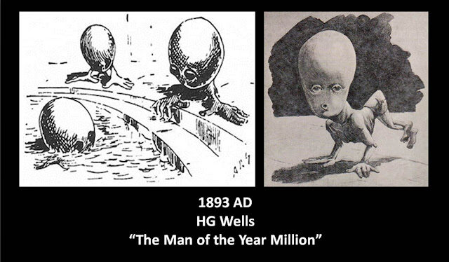 18932b252822529-4870837