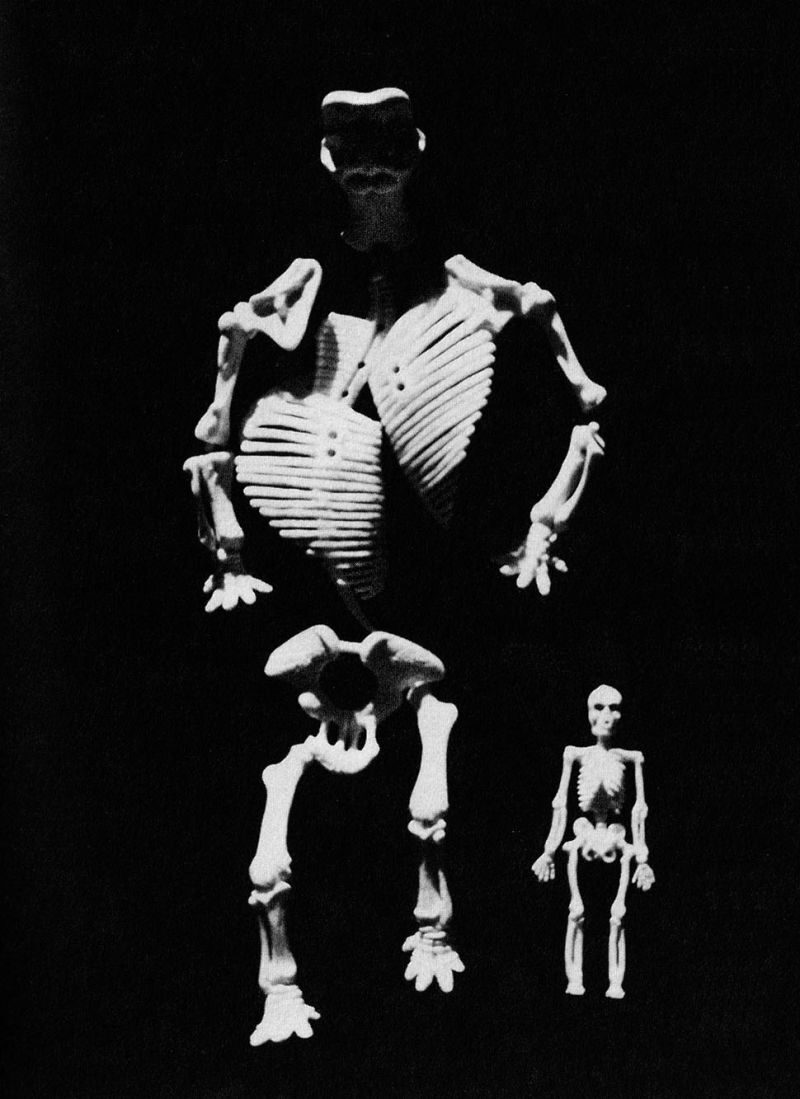 194r8otsg74d1jpg-2576825