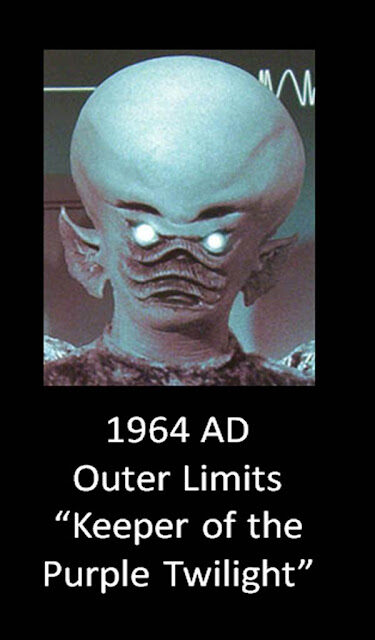 19642b252812529-4321431