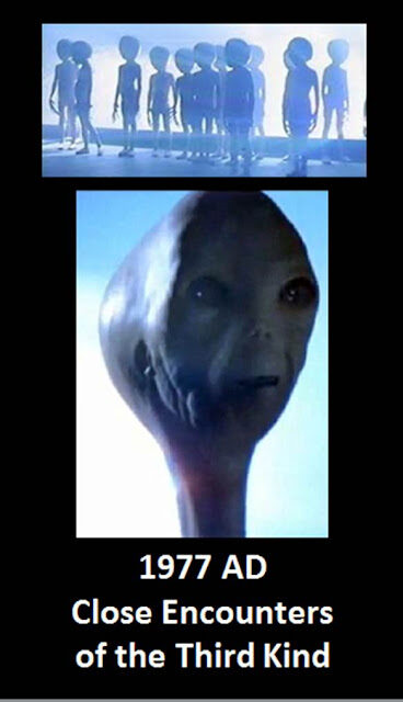 19772b252812529-6622512