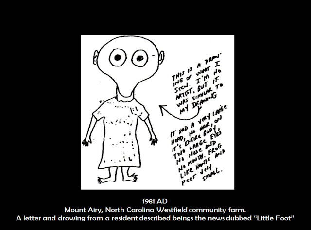 19812bad2bmount2bairy252c2bnorth2bcarolina2bwestfield2balien-1291569