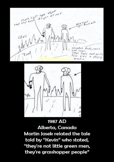 19872b2bufos2band2baleins-9175087