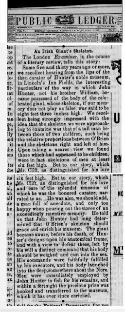 30-public2bledger2ban2birish2bgiant2527s2bskeleton-5995242