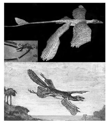 alan2bfeduccia252c2bauk2b3-7391485