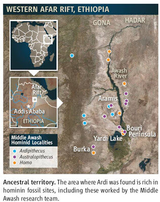 ardiardipithecusramiduslucyevolutionmissinglinkafrica-9756434