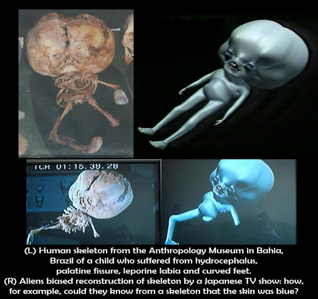 brazil2balien2bskeleton-1438203