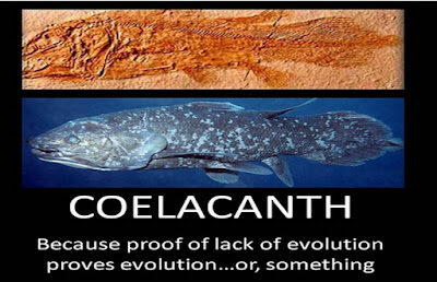 coelacanth2bevolution-2856212