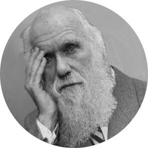darwin20facepalm-4134360