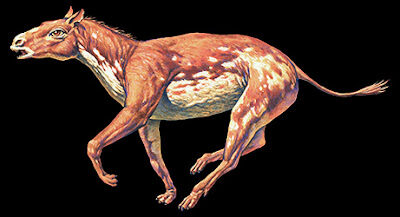 illustration2bby2bjoe2btucciarone-4449194