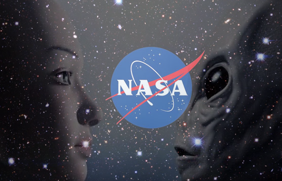 nasa2c20ufo2c20aliens2c20grays2c20greys2c20trish20chamberson-7974599