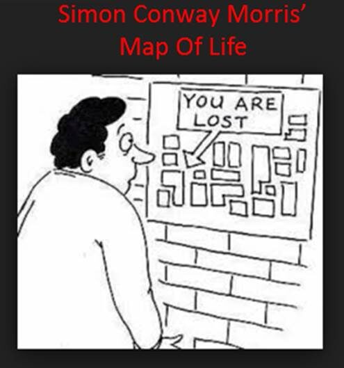 simon20conway20morrise2809920map20of20life-6756273