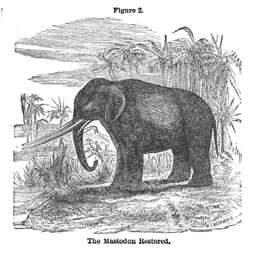giant20mastodon-2211987