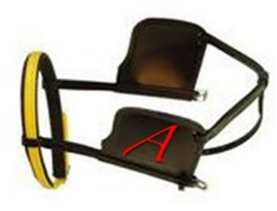 horse_blinders_blinkers_winkers_atheist_atheism_science-3063330