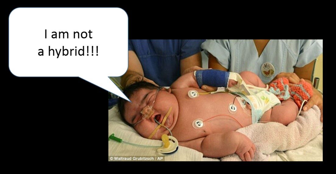 large20giant20baby20nephilim-7293375