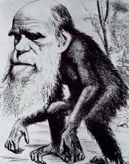darwinmonkey-4462871