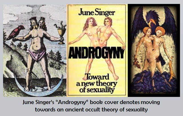 postgender2b-2bandrogyny2band2bhermaphroditism2b-2b9-3619408