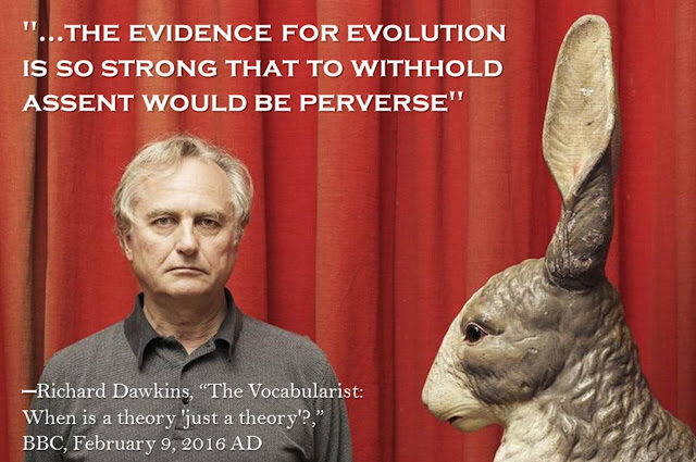 richard2bdawkins252c2bevidence2bfor2bevolution-7345558
