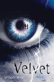 velvet-6477702