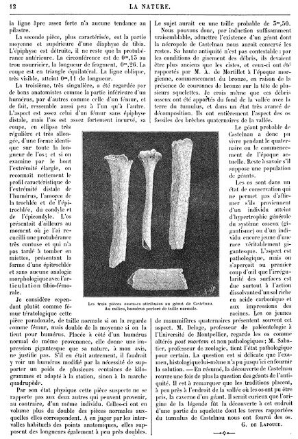 giant2bof2bcastelnau2bor2bg25c325a9ant2bde2bcastelnau2bjournal2bla2bnature252c2bvol-2b18252c2b18902bissue2b8882b-2b2-2506527