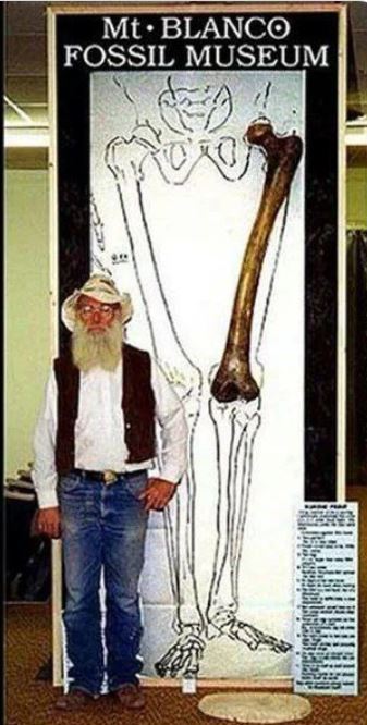 joe-taylor-nephilim-giant-femur